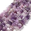 Natural Lepidolite/Purple Mica Stone Beads Strands X-G-P497-03A-06-1