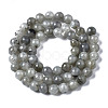 Natural Labradorite Round Beads Strands G-S158-6mm-2