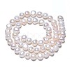 Natural Cultured Freshwater Pearl Beads Strands PEAR-N014-07C-2