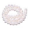 Natural Cultured Freshwater Pearl Beads Strands PEAR-N013-07N-4