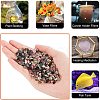 Natural Multicolor Tourmaline Beads G-GA0001-31-4