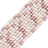 Electroplated Shell Pearl Beads Strands BSHE-H113-06A-01-1