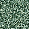 MIYUKI Delica Beads SEED-JP0008-DB2190-3