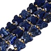 Dyed Natural Lapis Lazuli Beads Strands G-N371-10A-02-2