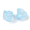 Transparent Spray Paint Glass Beads GLAA-H035-03G-2