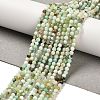 Natural Serpentine Beads Strands G-B107-A05-03-1