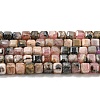 Natural Rhodonite Beads Strands G-Q1005-F-01-1