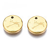 316 Surgical Stainless Steel Charms STAS-S116-418B-G-2