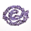Natural Amethyst Chip Bead Strands X-G-M205-04-2