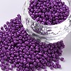 Baking Paint Glass Seed Beads SEED-S001-K11-1