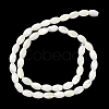 Natural Trochus Shell Beads Strands BSHE-E030-02B-3