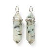Natural Sesame Jasper Pointed Pendants G-M378-01P-A11-2