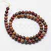Natural Polychrome Jasper/Picasso Stone/Picasso Jasper Bead Strands G-D840-85-8mm-2