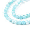Natural Freshwater Shell Beads Strands X-BSHE-T009A-01E-2