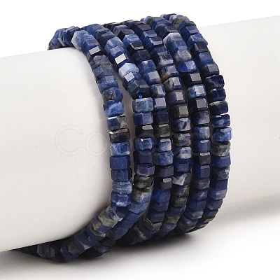 Natural Sodalite Beads Strands G-G345-C31-2x4mm-1