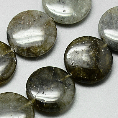 Natural Labradorite Beads Strands G-Q948-38-1