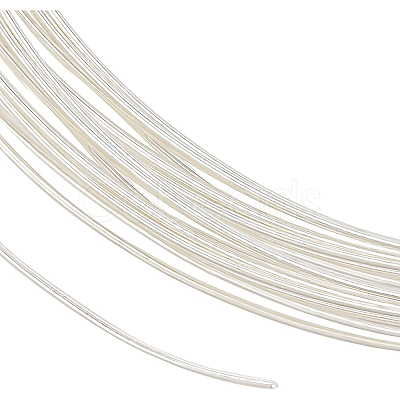 BENECREAT 1Pc 999 Fine Silver Wire STER-BC0001-66C-1