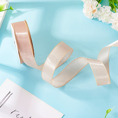1 Roll Transparent Polyester Ribbon OCOR-TA0002-34C-1
