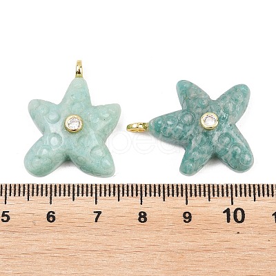 Natural Amazonite Pendants X-G-H353-01G-06-1
