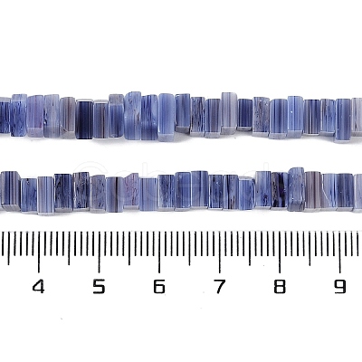 Handmade Lampwork Beads Strands LAMP-Q037-02B-12-1