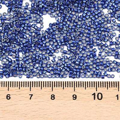 MIYUKI Delica Beads LS-X-SEED-J020-DB2511-1