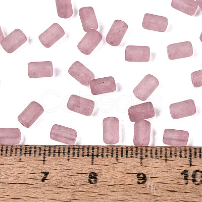 FGB Frosted Transparent Glass Seed Beads SEED-N013-05A-06-1