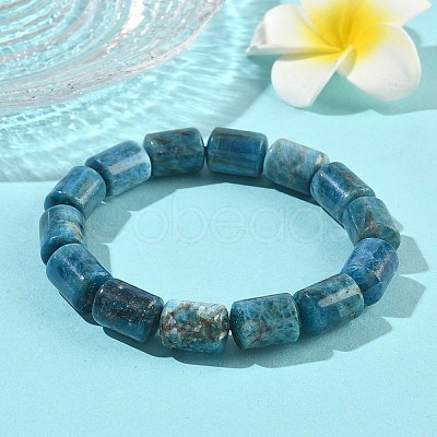 Column Natural Apatite Beads Stretch Bracelets for Women Men BJEW-A148-01A-18-1