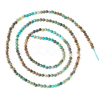 1 Strand Natural Turquoise Beads Strands G-TA0003-46-1
