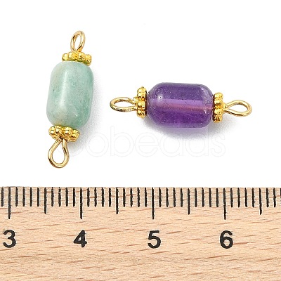 Natural Gemstone Connector Charms PALLOY-JF05820-1