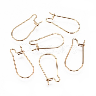 Ion Plating(IP) 304 Stainless Steel Hoop Earrings Findings Kidney Ear Wires STAS-G200-01A-G-1