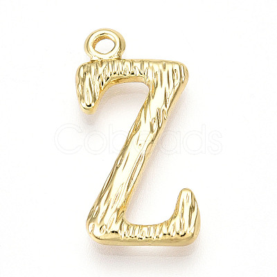 304 Stainless Steel Pendants STAS-N117-01G-Z-1