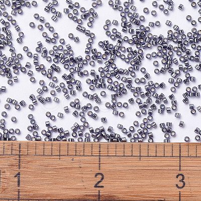 MIYUKI Delica Beads X-SEED-J020-DB2167-1