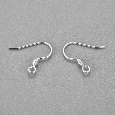 304 Stainless Steel Earring Hooks STAS-H436-04S-1