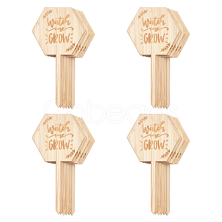 Plant Labels WOOD-GA0001-19-1
