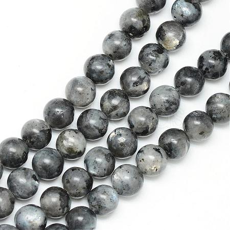 Natural Larvikite Beads Strands G-R345-8mm-33-1