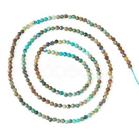 1 Strand Natural Turquoise Beads Strands G-TA0003-46-1