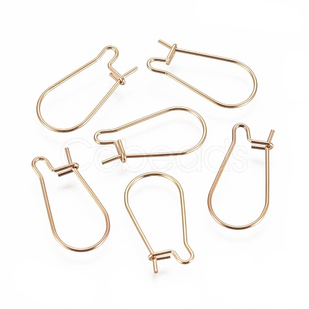 Ion Plating(IP) 304 Stainless Steel Hoop Earrings Findings Kidney Ear Wires STAS-G200-01A-G-1