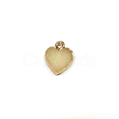 Resin with Golden Zinc Alloy Charms LS-RESI-CJC0009-04A-1