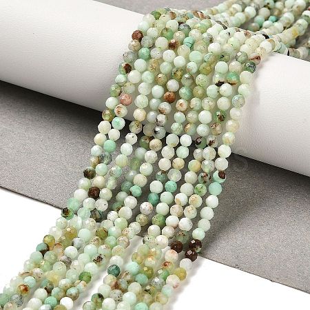 Natural Serpentine Beads Strands G-B107-A05-03-1