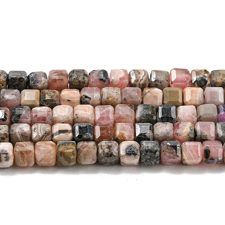 Natural Rhodonite Beads Strands G-Q1005-F-01-1