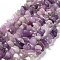 Natural Lepidolite/Purple Mica Stone Beads Strands, Chip, 5~8x5~8x5mm, Hole: 0.8mm, 31.50~32 inch(80~83cm)