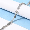 Natural Labradorite Beads Strands G-G018-24-4