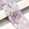 Natural Amethyst Beads Strands G-G068-A29-01-2