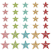 30Pcs 10 Styles Star Hotfix Rhinestone DIY-WR0004-13-1