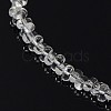 Glass Beads Strands X-EGLA-F031-I01-1