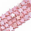 Freshwater Shell Beads Strands X-SHEL-T014-009F-1