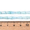 Anti-Tarnish Electroplate Glass Beads Strands GLAA-T025-27B-4