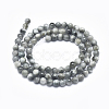 Natura Hawk's Eye Beads Strands G-D0001-22C-10mm-2