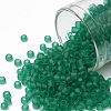 TOHO Round Seed Beads X-SEED-TR08-0072F-1