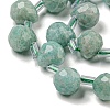 Natural Amazonite Beads Strands G-H297-B07-02-4